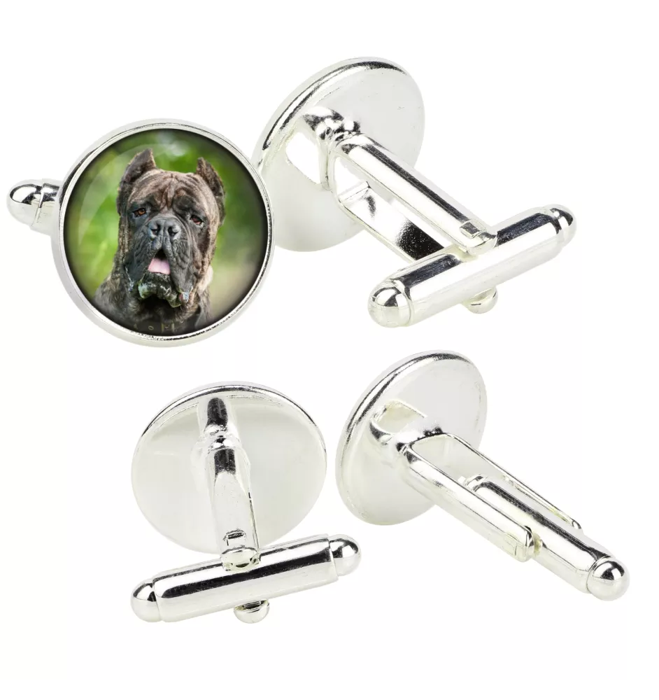 Cane Corso, Italian Cane Corso - cufflinks in a box, handmade jewelry, product of the Art-Dog brand