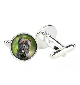 Cane Corso spinka do mankietów w pudełku ze zdjęciem Art-Dog