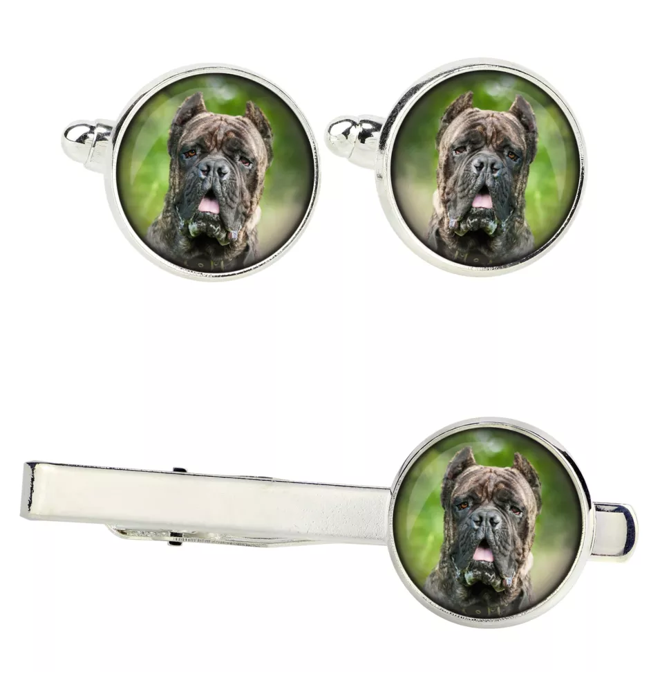 Cane Corso zestaw spinek w pudełku ze zdjęciem Art-Dog