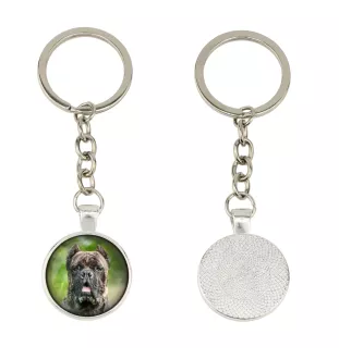Cane Corso, Italienischer Corso-Hund, Cane di Macellaio - Schlüsselanhänger in einer Box, eigenes Foto, Schlüsselanhänger der Marke Art-Dog