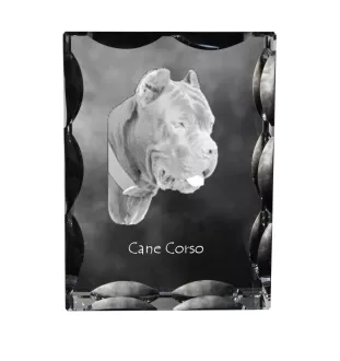 Cane Corso, Chien De Cour Italien - cristal avec photo de chien, statuette en verre avec photo, cadre exceptionnel avec photo de la marque Art-Dog