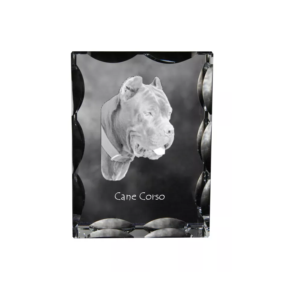 Cane Corso, Chien De Cour Italien - cristal avec photo de chien, statuette en verre avec photo, cadre exceptionnel avec photo de la marque Art-Dog