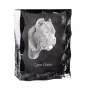 Cane Corso, Italian Cane Corso - crystal with a picture of a dog, glass statuette with a picture, unique frame with a picture from Art-Dog brand