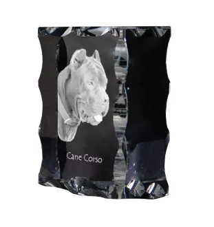 Cane Corso, Italian Cane Corso - crystal with a picture of a dog, glass statuette with a picture, unique frame with a picture from Art-Dog brand
