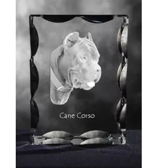 Cane Corso ramka kryształowa z psem Art-Dog