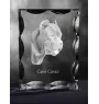 Cane Corso, Italian Cane Corso - crystal with a picture of a dog, glass statuette with a picture, unique frame with a picture from Art-Dog brand