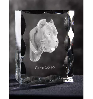 Cane Corso, Italian Cane Corso - crystal with a picture of a dog, glass statuette with a picture, unique frame with a picture from Art-Dog brand
