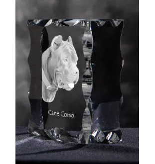 Cane Corso, Italian Cane Corso - crystal with a picture of a dog, glass statuette with a picture, unique frame with a picture from Art-Dog brand