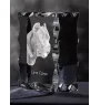 Cane Corso, Italienischer Corso-Hund, Cane di Macellaio - Kristall mit einem Hundebild, Glasstatuette mit einem Bild, einzigartiger Bilderrahmen der Marke Art-Dog