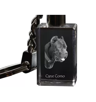 Cane Corso, Italienischer Corso-Hund, Cane di Macellaio - Schlüsselanhänger aus Kristall mit Hundefoto, beleuchteter Schlüsselanhänger, einzigartiges Geschenk der Marke Art-Dog