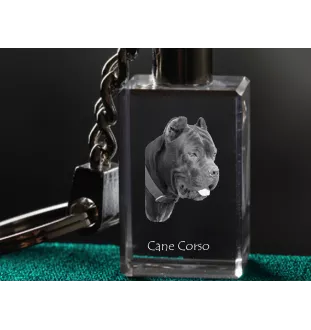 Cane Corso, Chien De Cour Italien - Porte-clés en cristal avec photo de chien, porte-clés lumineux, cadeau unique de la marque Art-Dog