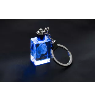 Cane Corso, Chien De Cour Italien - Porte-clés en cristal avec photo de chien, porte-clés lumineux, cadeau unique de la marque Art-Dog