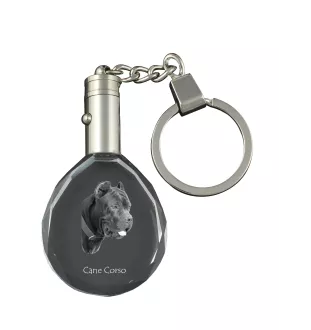 Cane Corso, Italian Cane Corso - pendant with a photo of a dog, crystal key ring in a gift box, a unique gift by Art-Dog