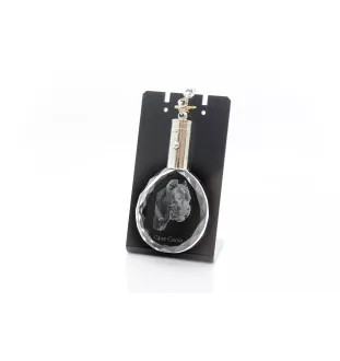 Cane Corso, Chien De Cour Italien - pendentif avec une photo de chien, porte-clés en cristal dans une boîte cadeau, un cadeau unique par Art-Dog