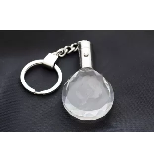 Cane Corso, Chien De Cour Italien - pendentif avec une photo de chien, porte-clés en cristal dans une boîte cadeau, un cadeau unique par Art-Dog