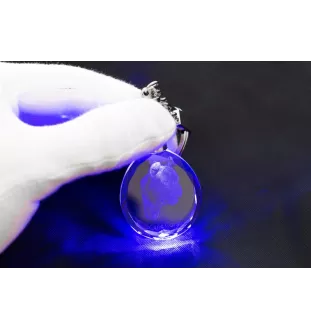 Cane Corso, Chien De Cour Italien - pendentif avec une photo de chien, porte-clés en cristal dans une boîte cadeau, un cadeau unique par Art-Dog