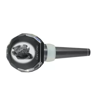 Cane Corso, Italian Cane Corso - Crystal bottle stopper, unique wine stopper with photo, personalised gift for sommelier by Art-Dog brand