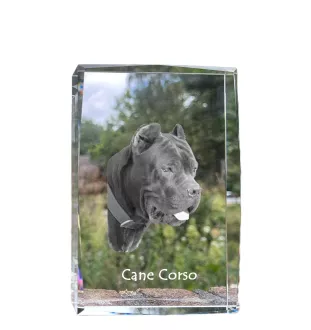 Cane Corso, Chien De Cour Italien - cristal avec une photo de chien, photo sous verre, exposition moderne de la marque de photos Art-Dog