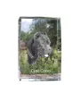 Cane Corso, Italienischer Corso-Hund, Cane di Macellaio - Kristall mit einem Hundebild, Bild im Glas, moderne Ausstellung des Art-Dog-Bildes.