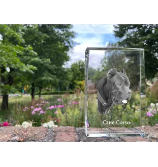 Cane Corso kryształ z psem Art-Dog