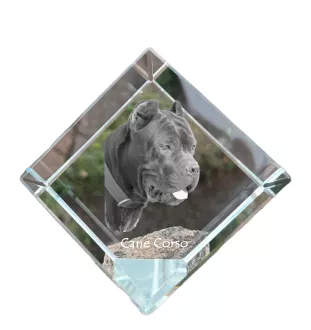 Cane Corso, Chien De Cour Italien - un cube de cristal avec une photo, une photo de cheval dans le cristal, un presse-papiers cubique de la marque Art-Dog