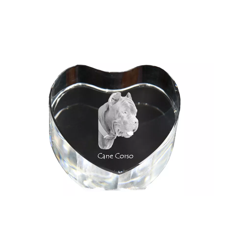 Cane Corso, Italian Cane Corso - a photo of a dog in crystal, crystal heart, unique photo frame from the Art-Dog brand