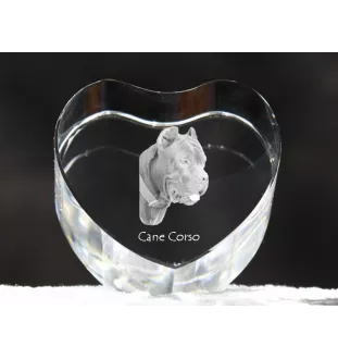 Cane Corso, Italian Cane Corso - a photo of a dog in crystal, crystal heart, unique photo frame from the Art-Dog brand