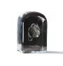 Cane Corso, Italian Cane Corso - crystal cube with a photo, photo of a dog in crystal, cubic paperweight from Art-Dog brand