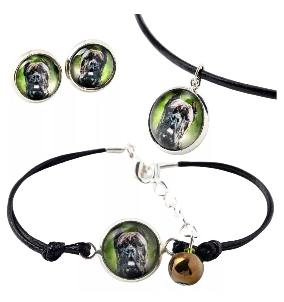 Cane Corso, Italian Cane Corso - a set of jewelry in a box, necklace, earrings, bracelet, products from the Art-Dog brand