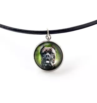 Cane Corso, Italian Cane Corso - a set of jewelry in a box, necklace, earrings, bracelet, products from the Art-Dog brand