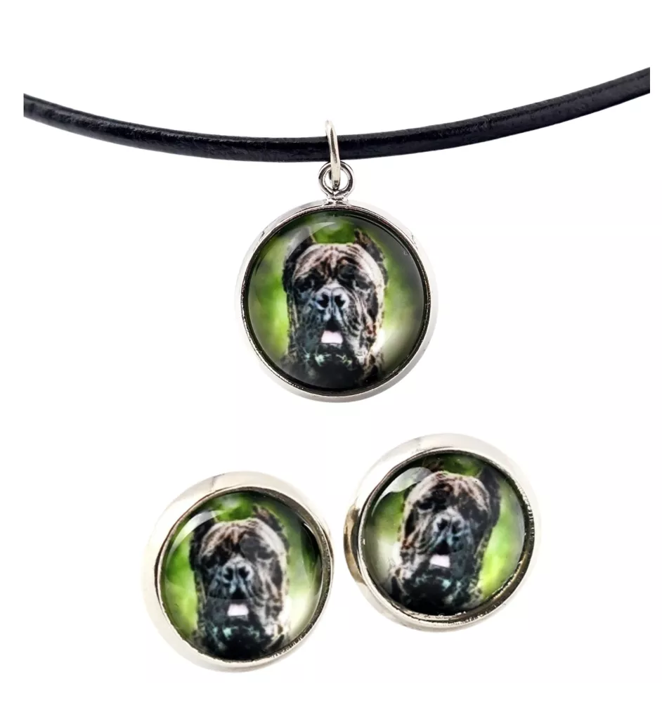 Cane Corso, Italian Cane Corso - jewelry with your photo box, set of necklace and earrings, personalized products from the Art-Dog brand