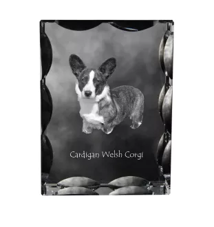 Cardigan Welsh Corgi I - crystal with a picture of a dog, glass statuette with a picture, unique frame with a picture from Art-Dog brand