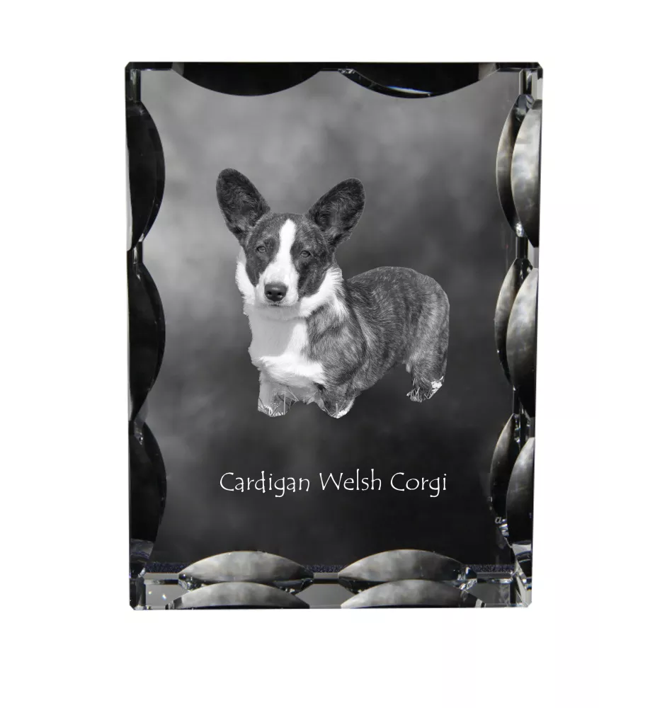 Cardigan Welsh Corgi I - Kristall mit einem Hundebild, Glasstatuette mit einem Bild, einzigartiger Bilderrahmen der Marke Art-Dog