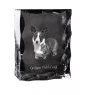 Cardigan Welsh Corgi I - Kristall mit einem Hundebild, Glasstatuette mit einem Bild, einzigartiger Bilderrahmen der Marke Art-Dog