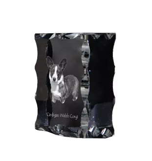 Cardigan Welsh Corgi I - Kristall mit einem Hundebild, Glasstatuette mit einem Bild, einzigartiger Bilderrahmen der Marke Art-Dog