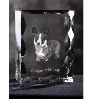 Cardigan Welsh Corgi I - cristal avec photo de chien, statuette en verre avec photo, cadre exceptionnel avec photo de la marque Art-Dog