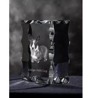 Cardigan Welsh Corgi I - Kristall mit einem Hundebild, Glasstatuette mit einem Bild, einzigartiger Bilderrahmen der Marke Art-Dog