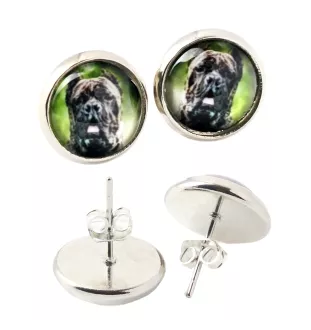 Cane Corso, Chien De Cour Italien - boucles d'oreilles dans une boîte, votre photo, bijoux faits à la main, produit de la marque Art-Dog.
