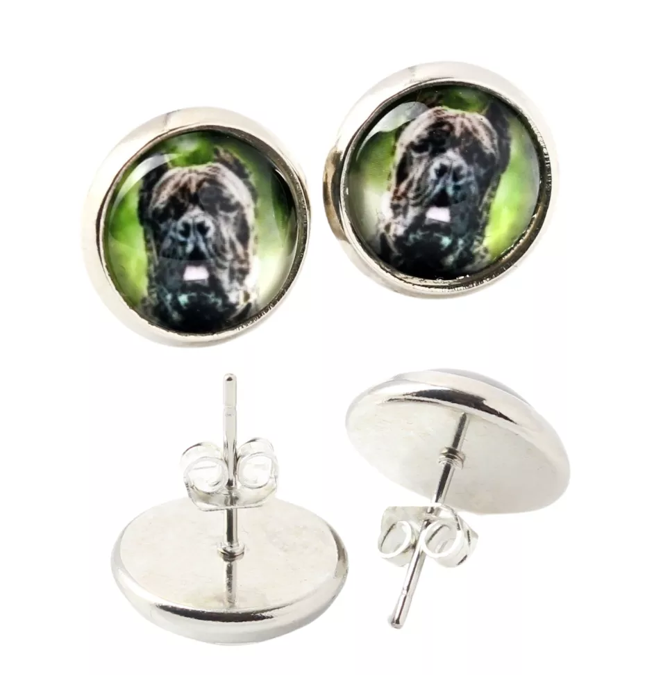 Cane Corso kolczyki w pudełku ze zdjęciem Art-Dog