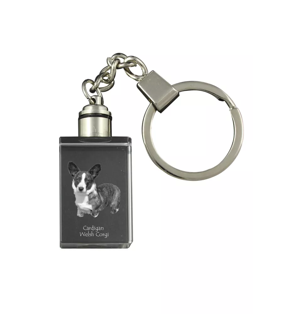 Cardigan Welsh Corgi I - Schlüsselanhänger aus Kristall mit Hundefoto, beleuchteter Schlüsselanhänger, einzigartiges Geschenk der Marke Art-Dog
