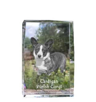 Cardigan Welsh Corgi I - crystal with a picture of a dog, photo in glass, modern exhibition of Art-Dog brand photo