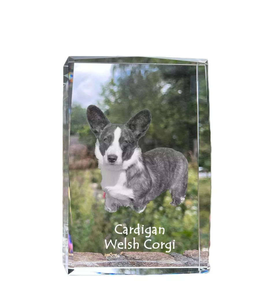 Cardigan Welsh Corgi I - cristal avec une photo de chien, photo sous verre, exposition moderne de la marque de photos Art-Dog