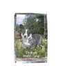 Cardigan Welsh Corgi I kryształ z psem Art-Dog