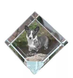 Cardigan Welsh Corgi I - un cube de cristal avec une photo, une photo de cheval dans le cristal, un presse-papiers cubique de la marque Art-Dog
