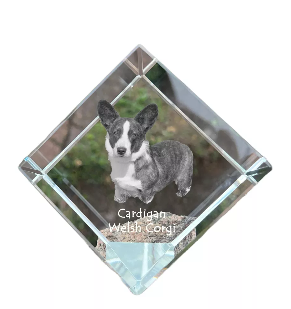 Cardigan Welsh Corgi I - un cube de cristal avec une photo, une photo de cheval dans le cristal, un presse-papiers cubique de la marque Art-Dog
