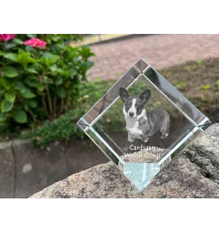 Cardigan Welsh Corgi I - un cube de cristal avec une photo, une photo de cheval dans le cristal, un presse-papiers cubique de la marque Art-Dog