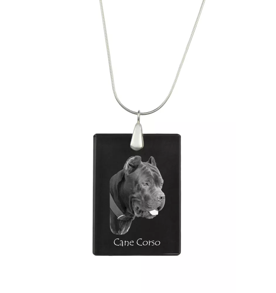 Cane Corso, Italian Cane Corso - Crystal pendant with dog, silver necklace with photo, personalised pendant by Art-Dog brand