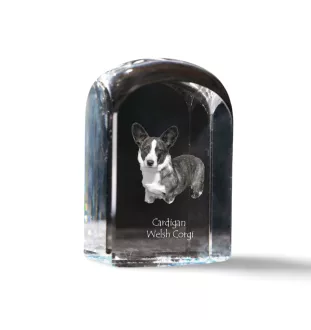 Cardigan Welsh Corgi I - Kristallwürfel mit Bild, Hundebild im Kristall, sechseckiger Papierclip von Art-Dog.