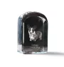 Cardigan Welsh Corgi I - crystal cube with a photo, photo of a dog in crystal, cubic paperweight from Art-Dog brand