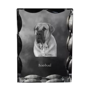 Boerboel - cristal avec photo de chien, statuette en verre avec photo, cadre exceptionnel avec photo de la marque Art-Dog